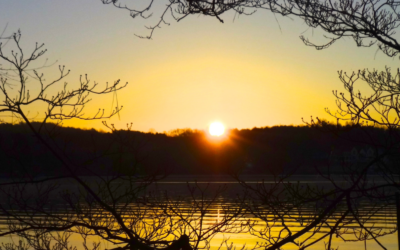 Boost Your Immunity with Movement: A Winter Wellness Guide
