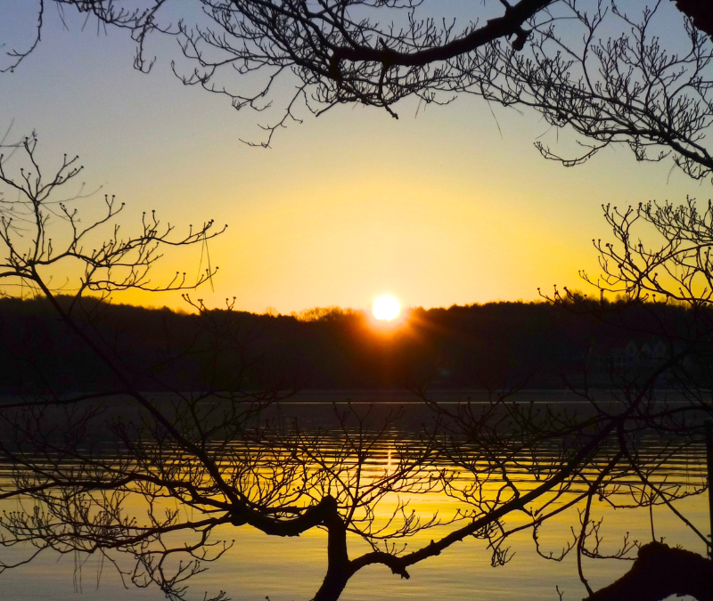 Boost Your Immunity with Movement: A Winter Wellness Guide