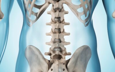 How to Improve Bone Density Naturally: A Physiotherapist’s Guide